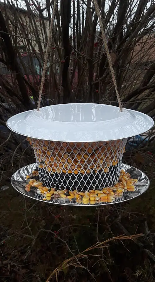 DT small mesh basket
