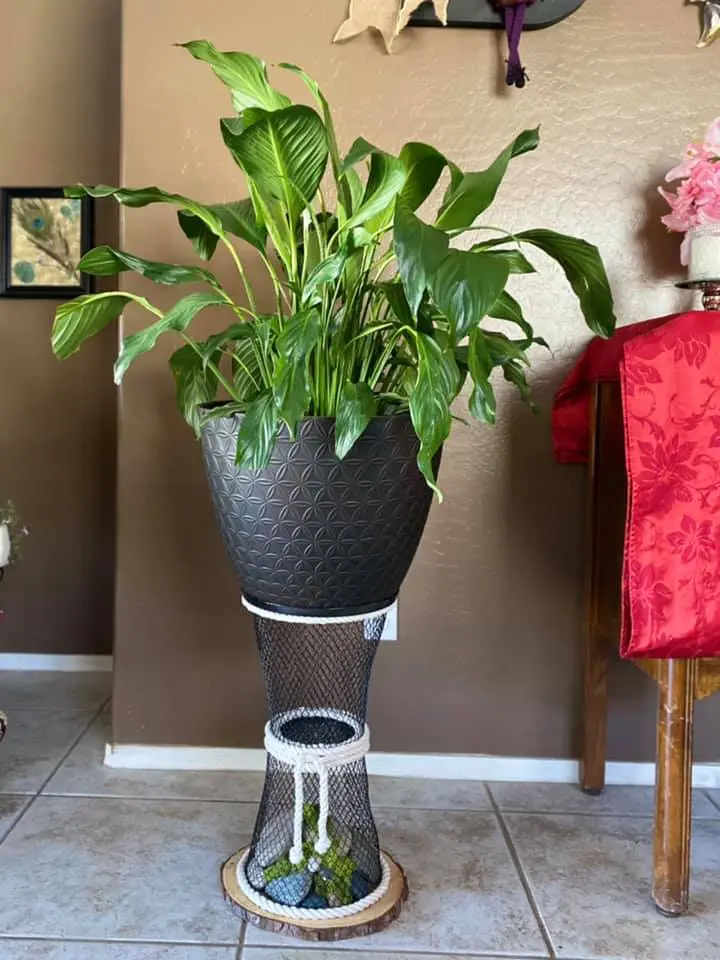 dollar tree wire basket crafts for plant