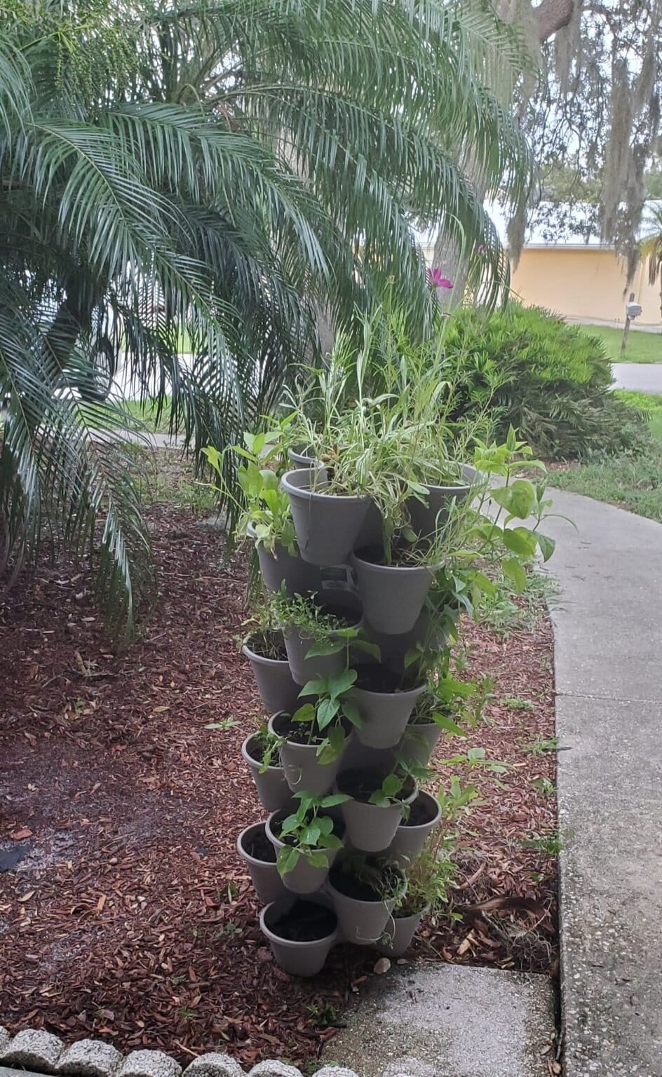 Dollar Tree Planters Craft Ideas Dollar Tree Craft