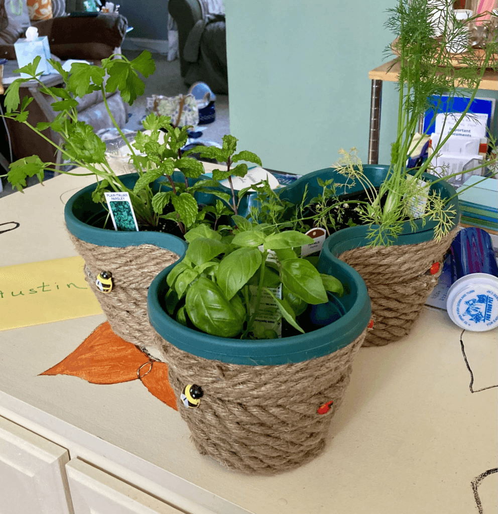 DIY herb garden with pots wrapped in nautical rope and decorated with 3D bees and ladybugs.