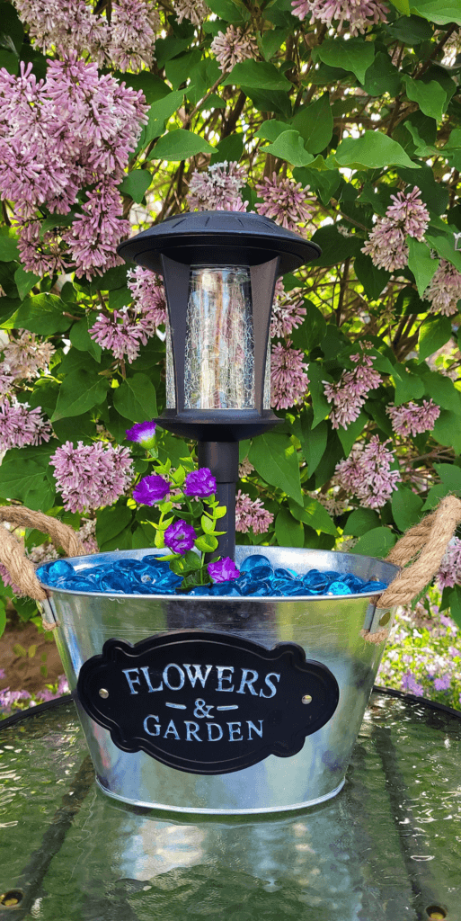 dollar tree garden projects pot