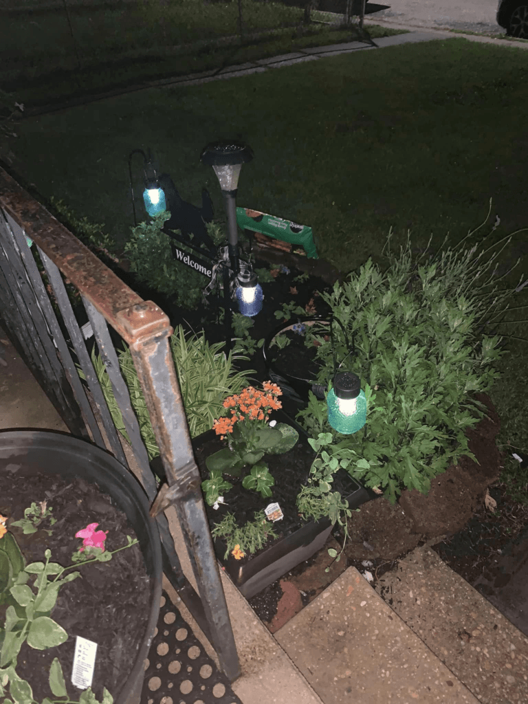 Garden Jar Solar Lights glowing beautifully at night among the plants.