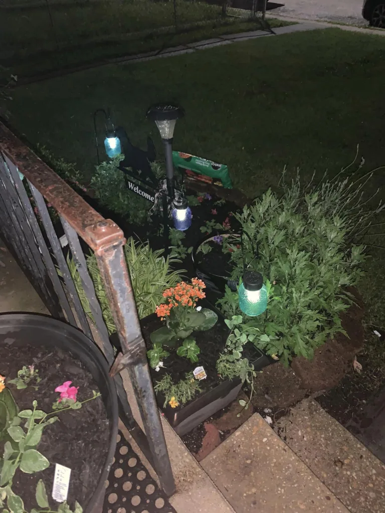 Garden Jar Solar Lights glowing beautifully at night among the plants.