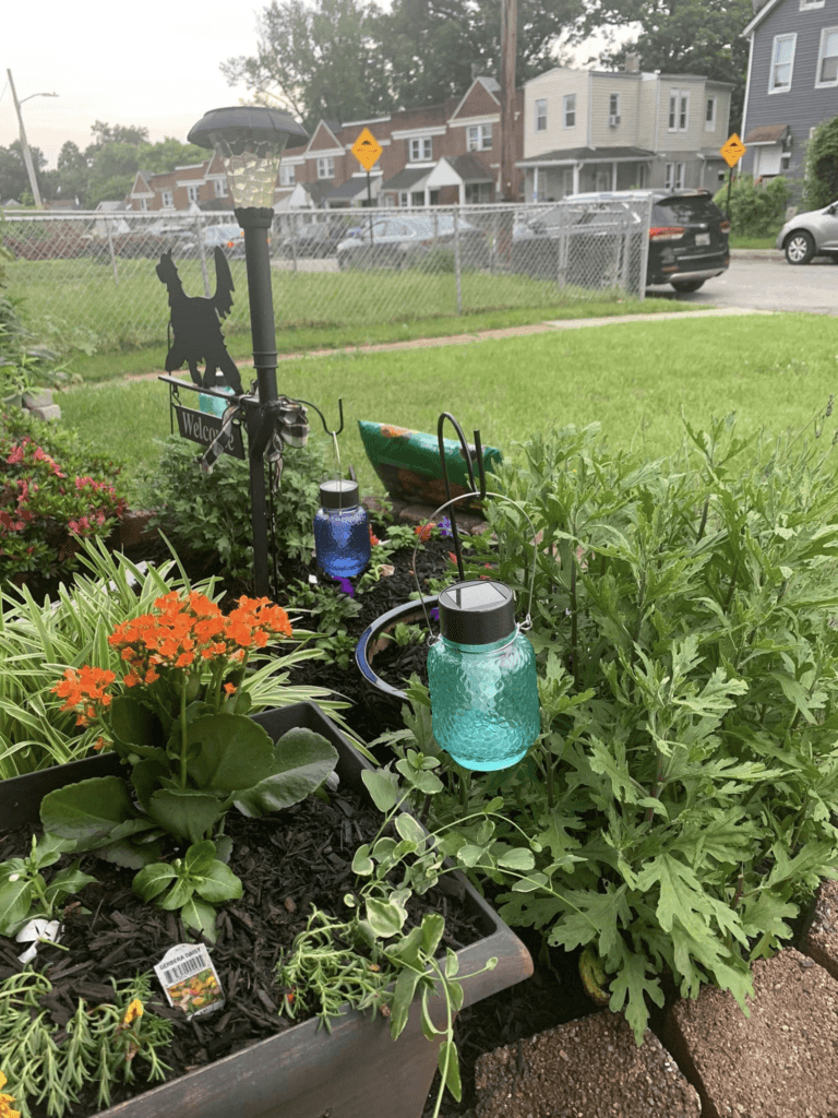 Colorful Garden Jar Solar Lights adding charm to a daytime garden.