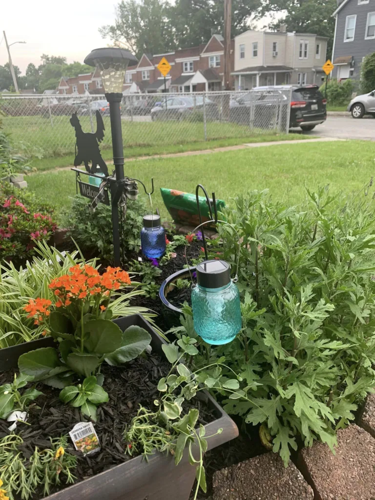 Colorful Garden Jar Solar Lights adding charm to a daytime garden.